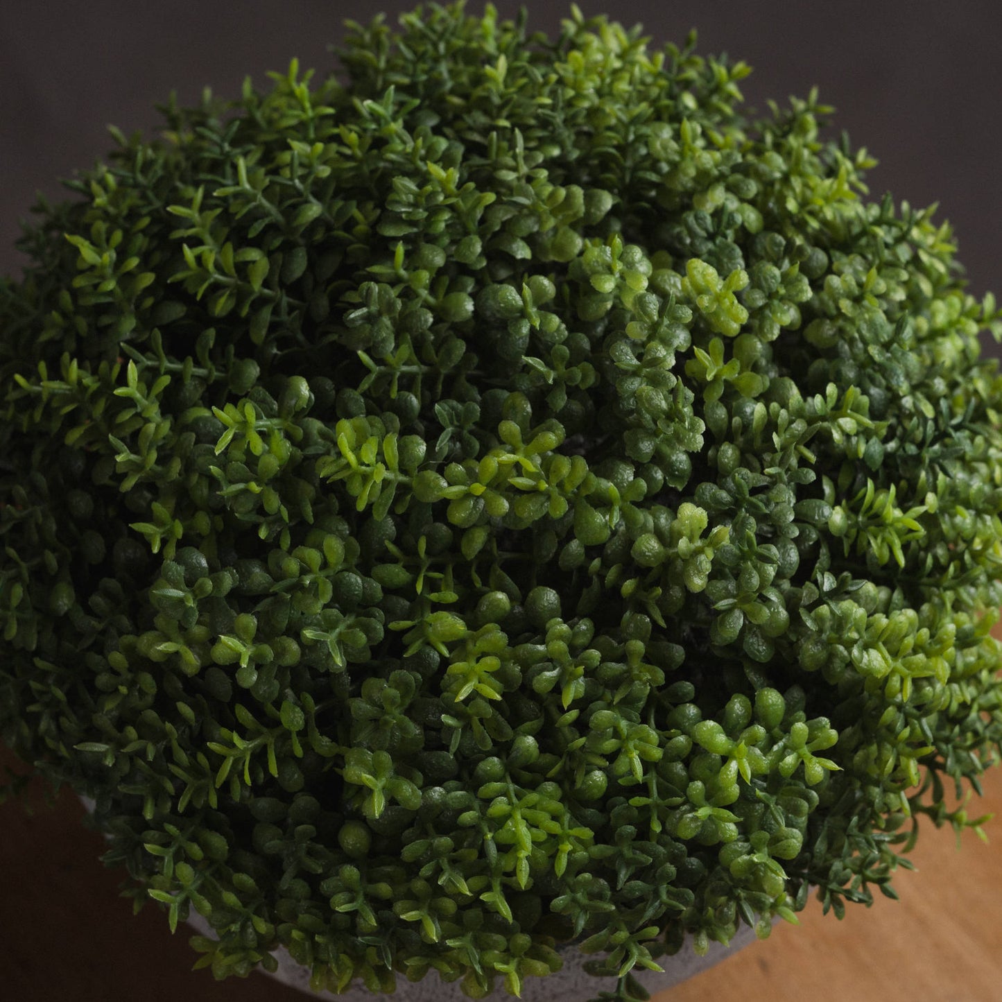 Small Hebe Globe Pot