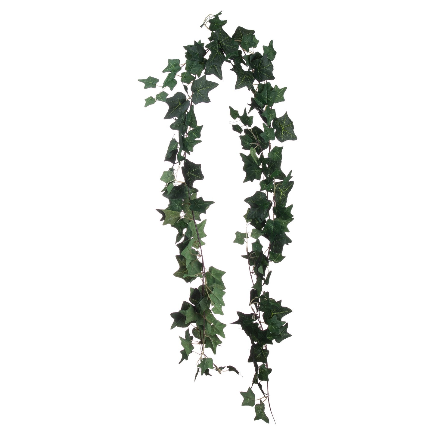 Ivy Garland